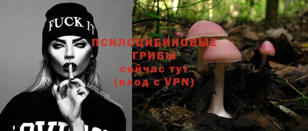 винт Няндома