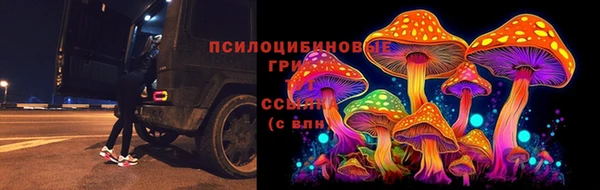 PSILOCYBIN Нягань