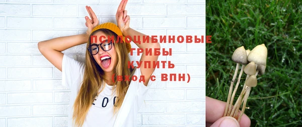 винт Няндома
