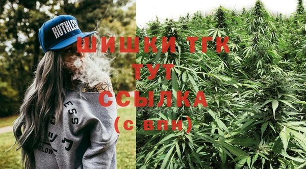 винт Няндома
