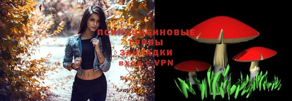 PSILOCYBIN Нягань
