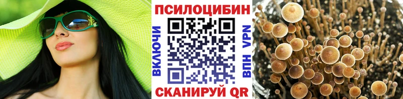 Псилоцибиновые грибы Psilocybe  Пучеж 
