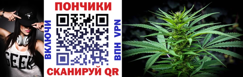 Конопля SATIVA & INDICA  ОМГ ОМГ ссылка  Пучеж  наркота 